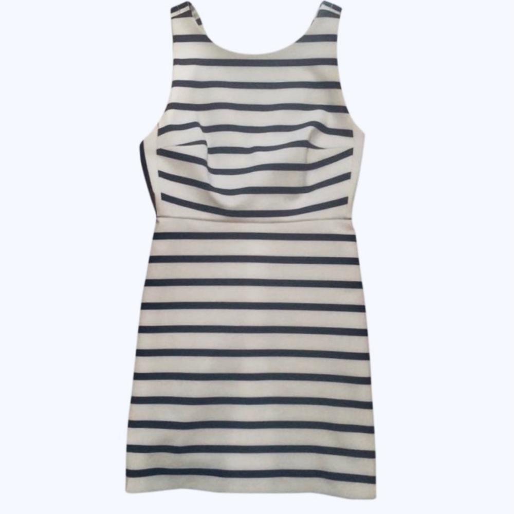 Zara Navy Blue & White Striped Mini Dress Size 4